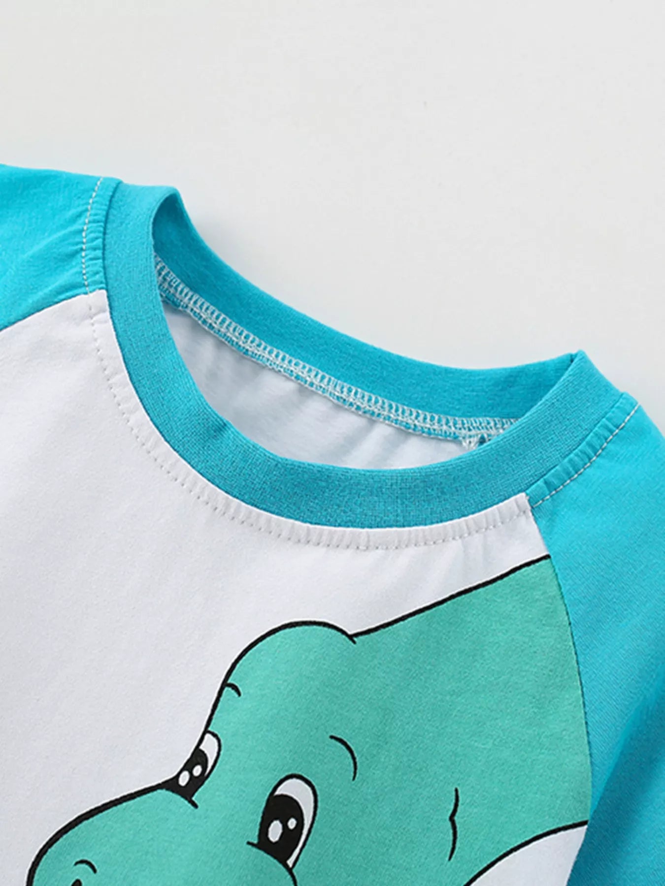 Kids Dinosaur Raglan T-Shirt | Soft Cotton Graphic Tee for Boys & Girls