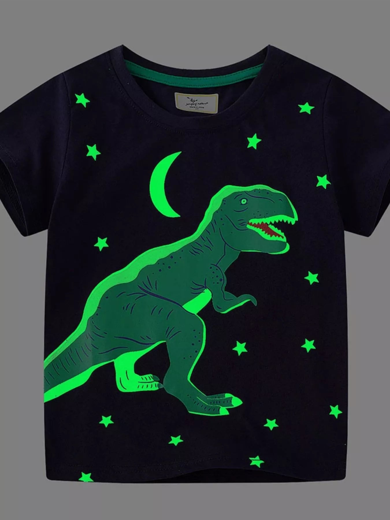 Kids Dinosaur T-Shirt – Soft Cotton Crew Neck Tee for Boys & Girls (Black)